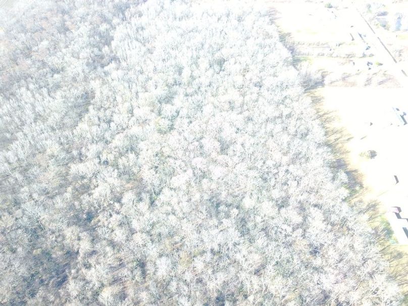 DJI_0008