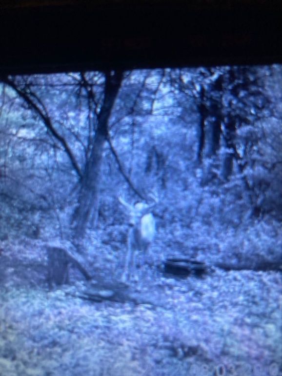 852DC14D-8292-4E74-8328-B7D0C038B9FF