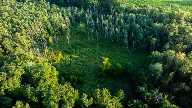 Copy of DJI_20250807181912_0049_D Large