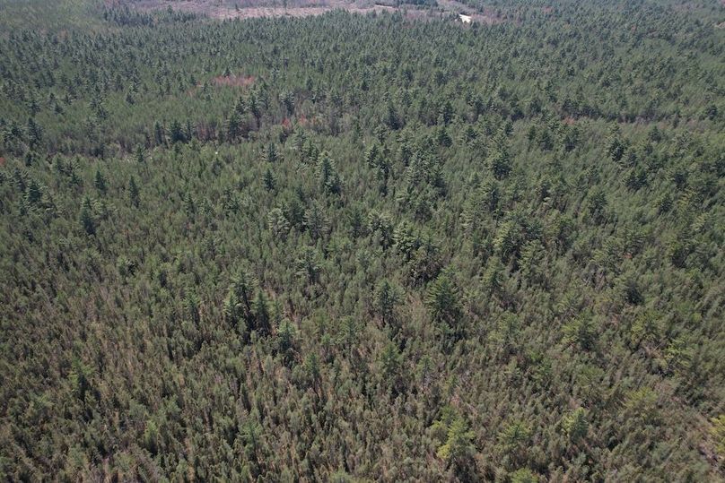 DJI_0072