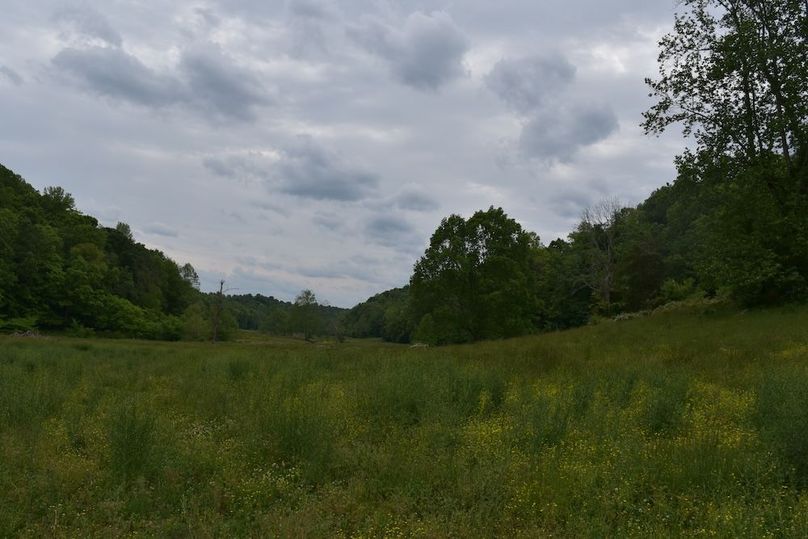 DSC_2605
