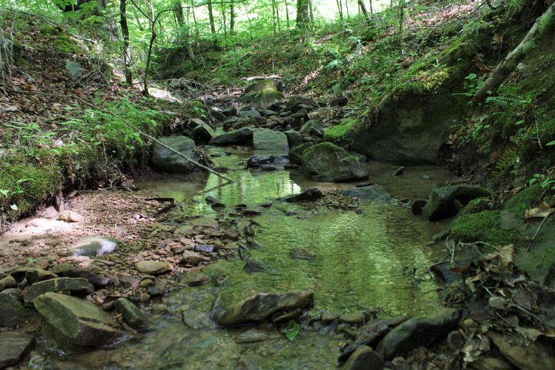 008 rushing spring fed streams