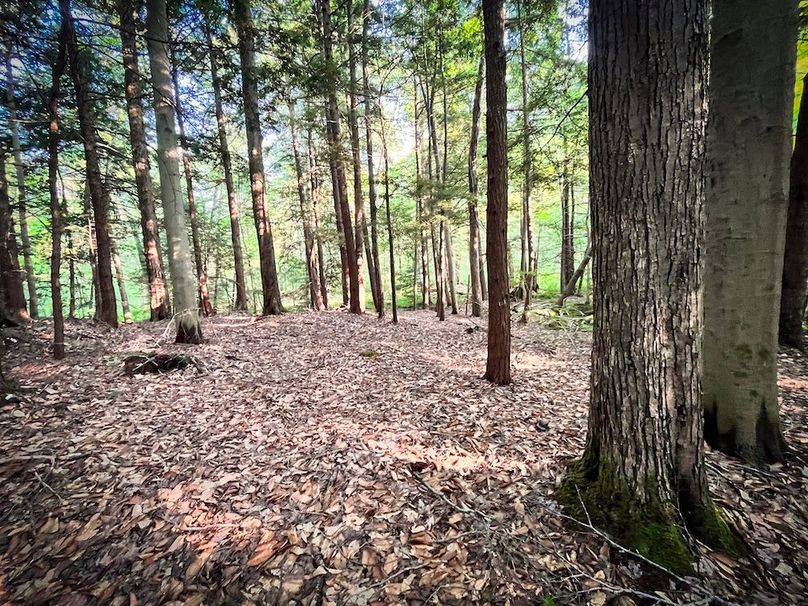 Oswego_25.66_Pettit_Photos_38