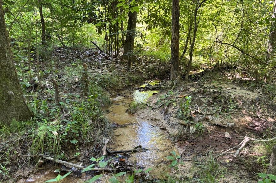 Versatile 56-Acre Tract with Dual Road Frontage & Creek Bottom