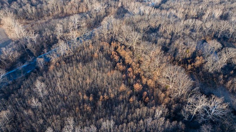 DJI_20260121081040_0022_D