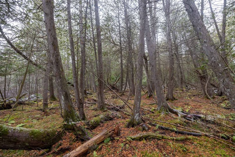 Mackinac 31.5 Noteboom-1699