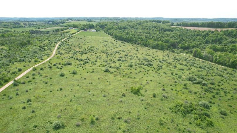 dji_fly_20250602_111538_271_1748877836765_photo