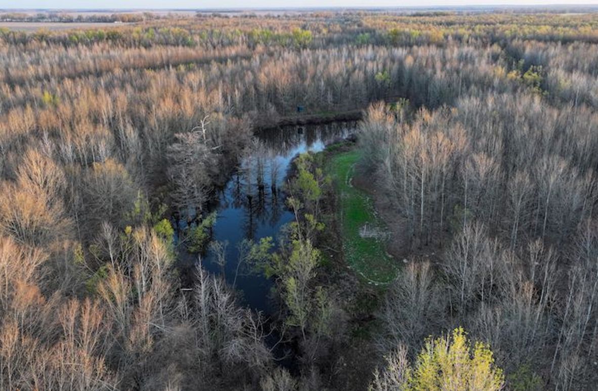 Panola 164.7 SPI Land Ventures-5