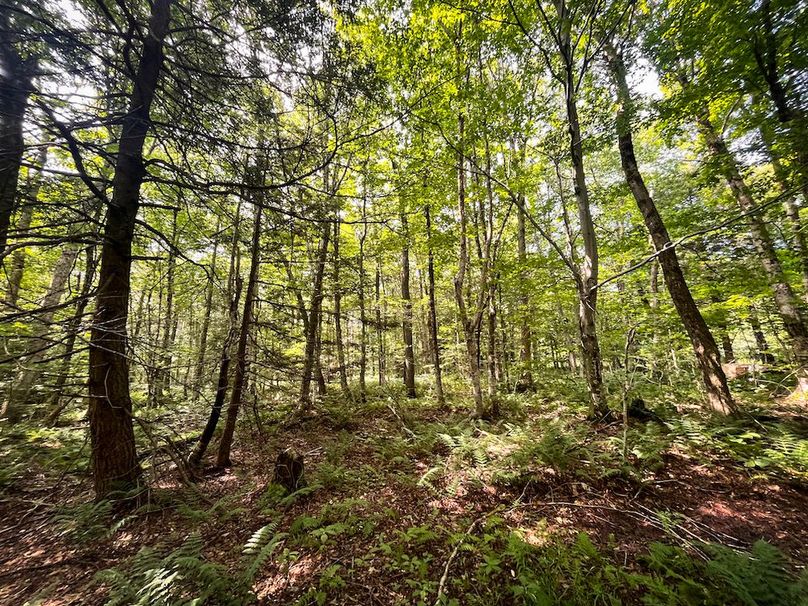 Oswego_100_Roof_Photos_38