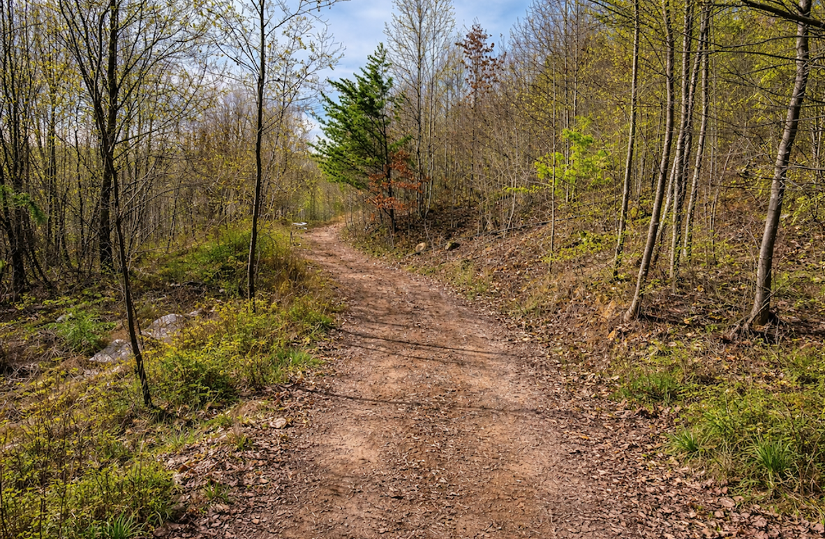 ChatGPT Image Mar 30, 2026, 01_05_27 PM