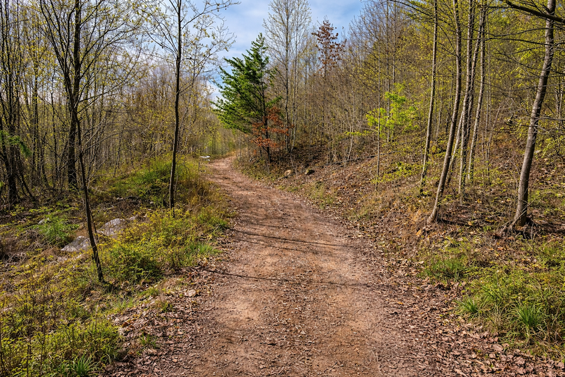 ChatGPT Image Mar 30, 2026, 01_05_27 PM