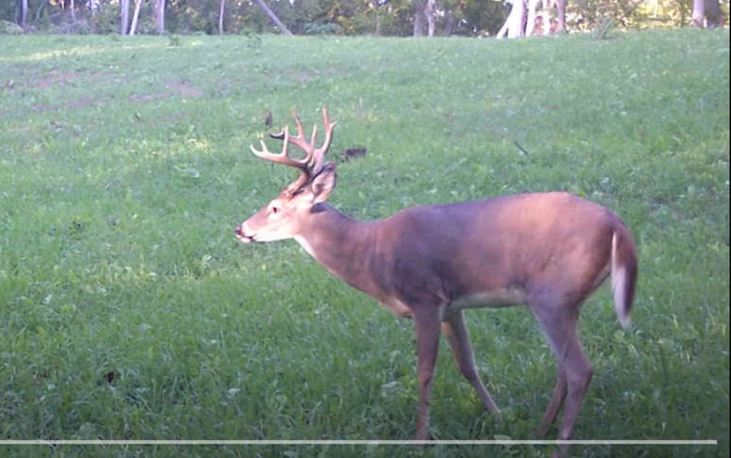 Screen Shot 2024-01-22 at 6.11.33 AM