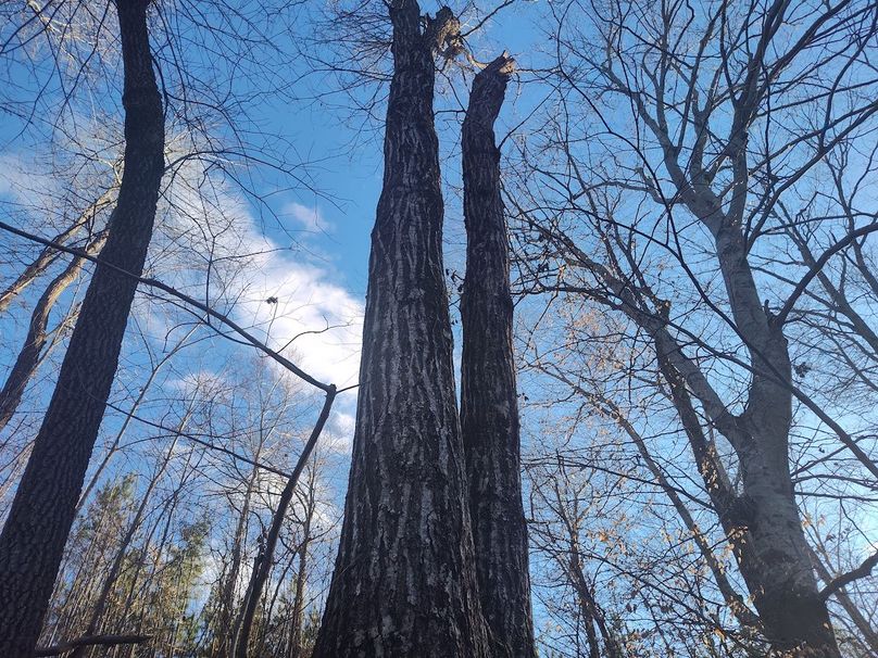 IMG_20240302_165206982