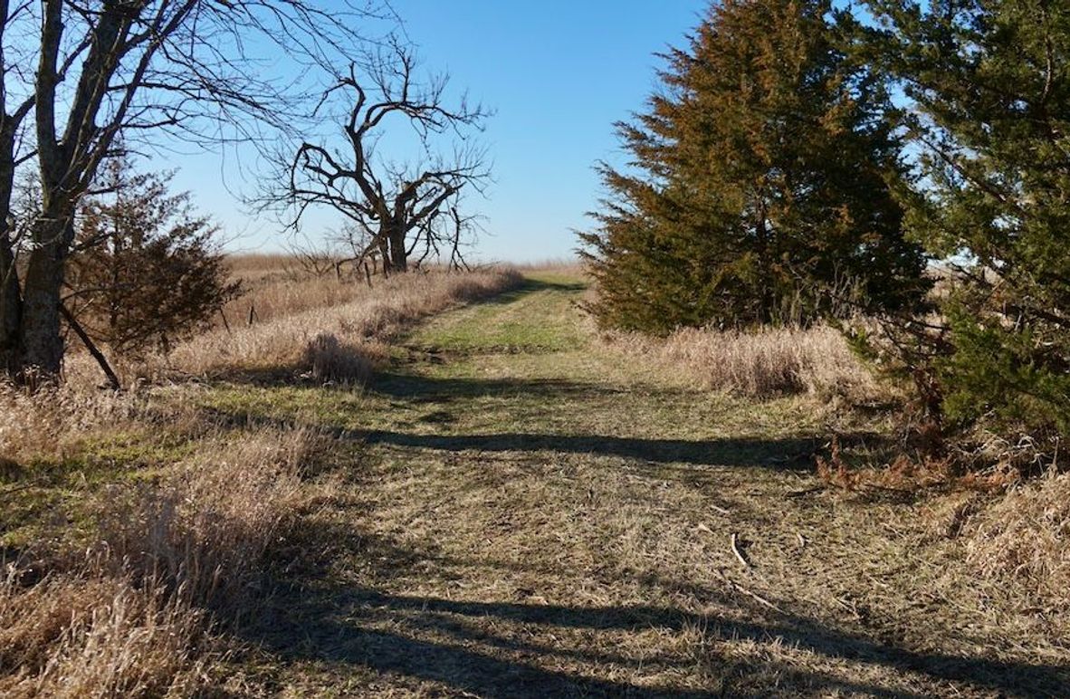 509012C8-7C5E-405E-875F-F726D5DE43A9_1_201_a