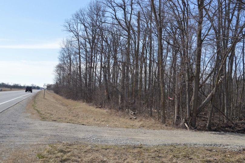 looking west from drive