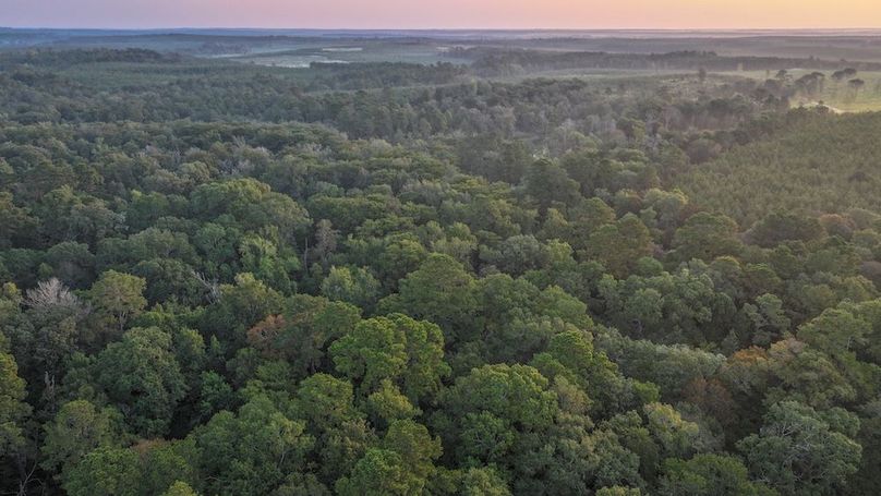 DJI_20250918070951_0033_D