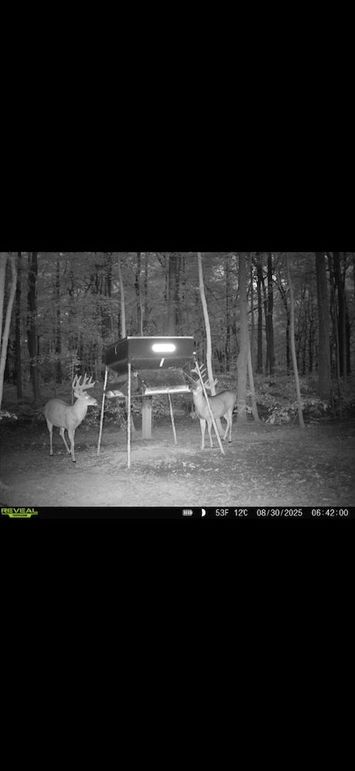 Screenshot 2026-02-09 at 3.28.02 PM