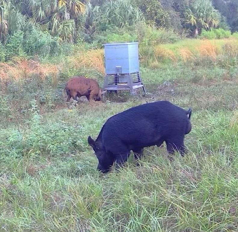 F4CE7D87-FAA7-4BCC-A31C-8F98775964CC