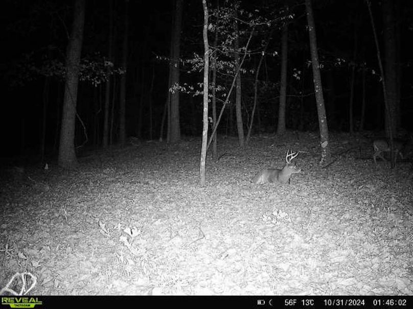 Trail Cam 1