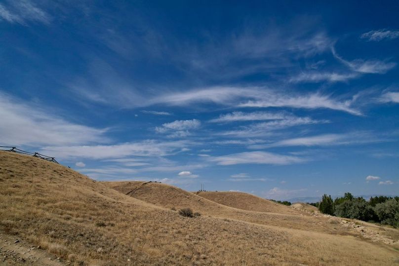 E3C5BA6E-B455-4134-83D7-E614A449CE3D_1_201_a