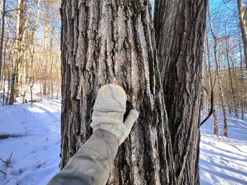 Tioga_11.9_Kilroy_Photos_21