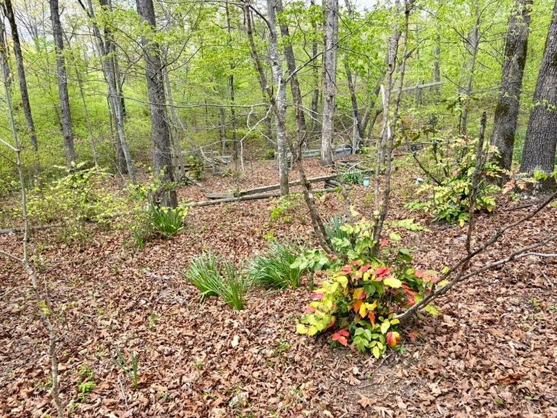 466A46AC-A0C2-463A-93C5-D50B90ABECB5_1_105_c-2