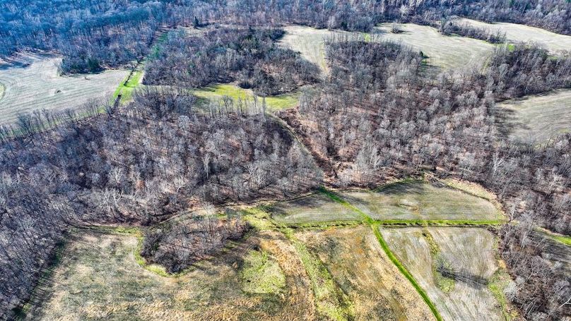 dji_fly_20260321_102612_0110_1774103507291_photo