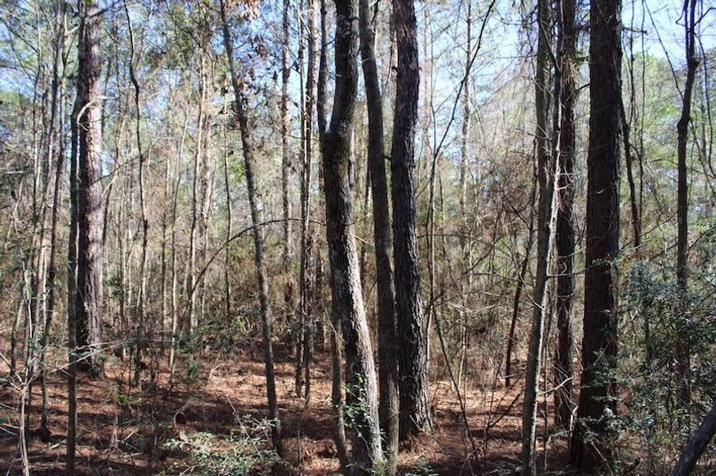 E5E178D2-742C-4706-89CE-48B44F55251C_1_105_c