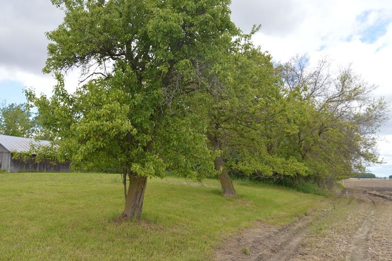East property line by road