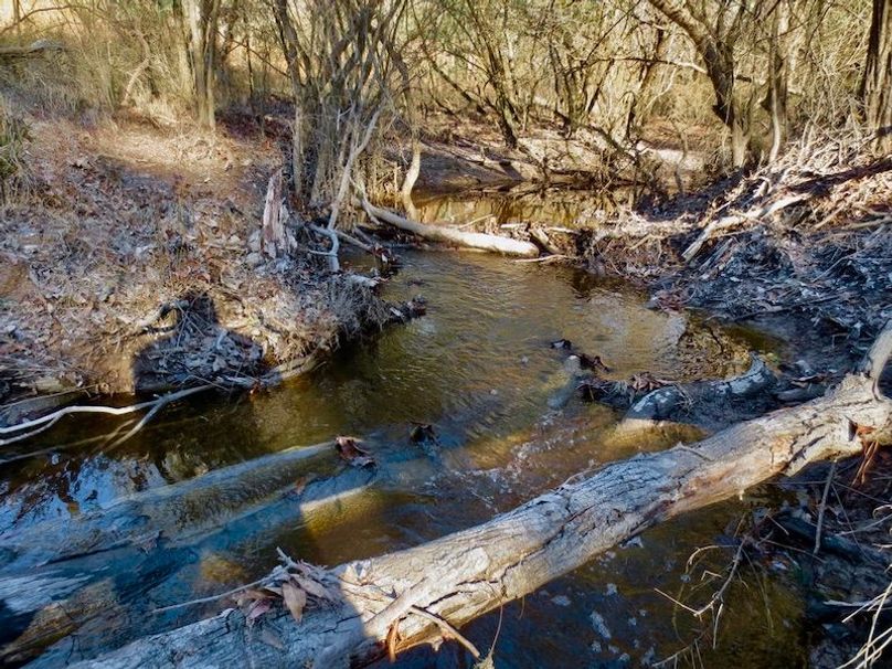 FF9CB84C-4BDD-452D-B86D-AC3097FDDAC6_1_105_c