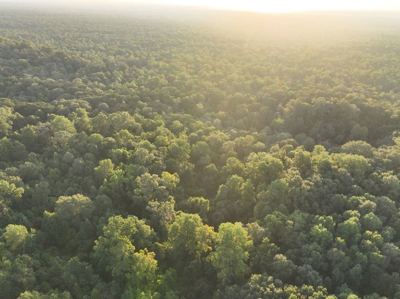 dji_fly_20250909_072440_183_1757426921369_photo