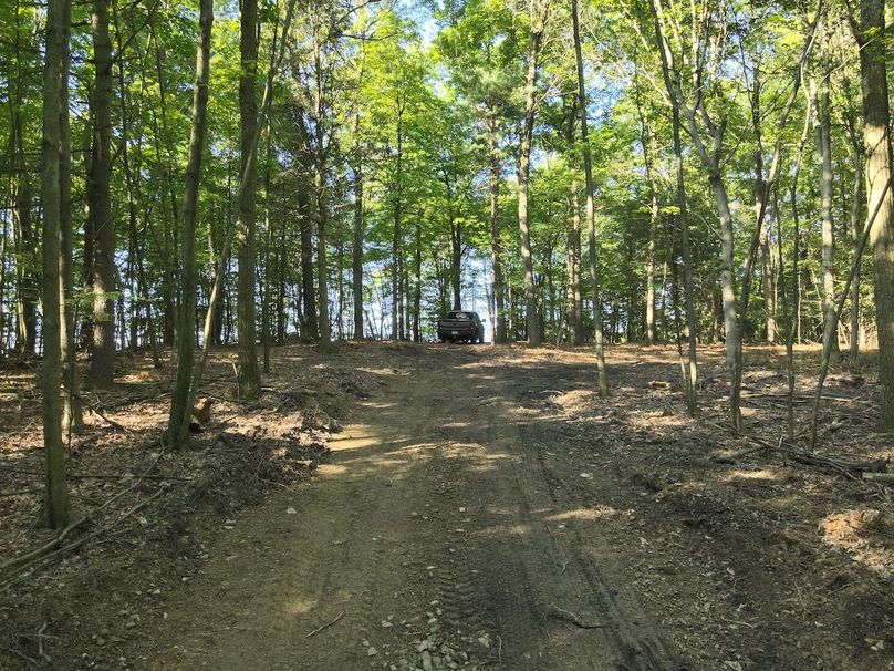 DJI_20240521083450_0019_V