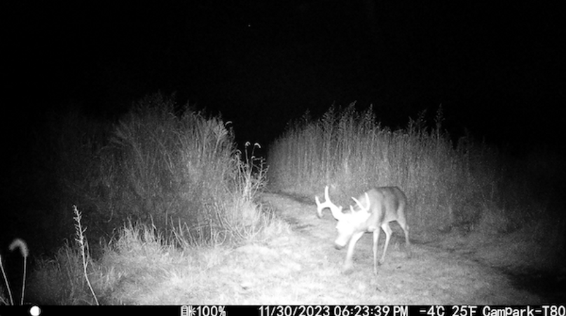 Screenshot 2024-09-04 at 2.33.26 PM