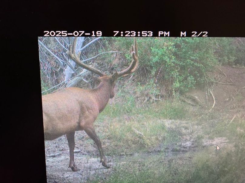 64DCBB6C-E769-4999-A81A-6A90C4456E02