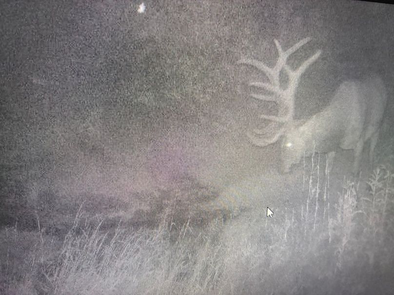 Copy of 706D4DFB-2B2E-49E5-BBE1-CE3C201B2815