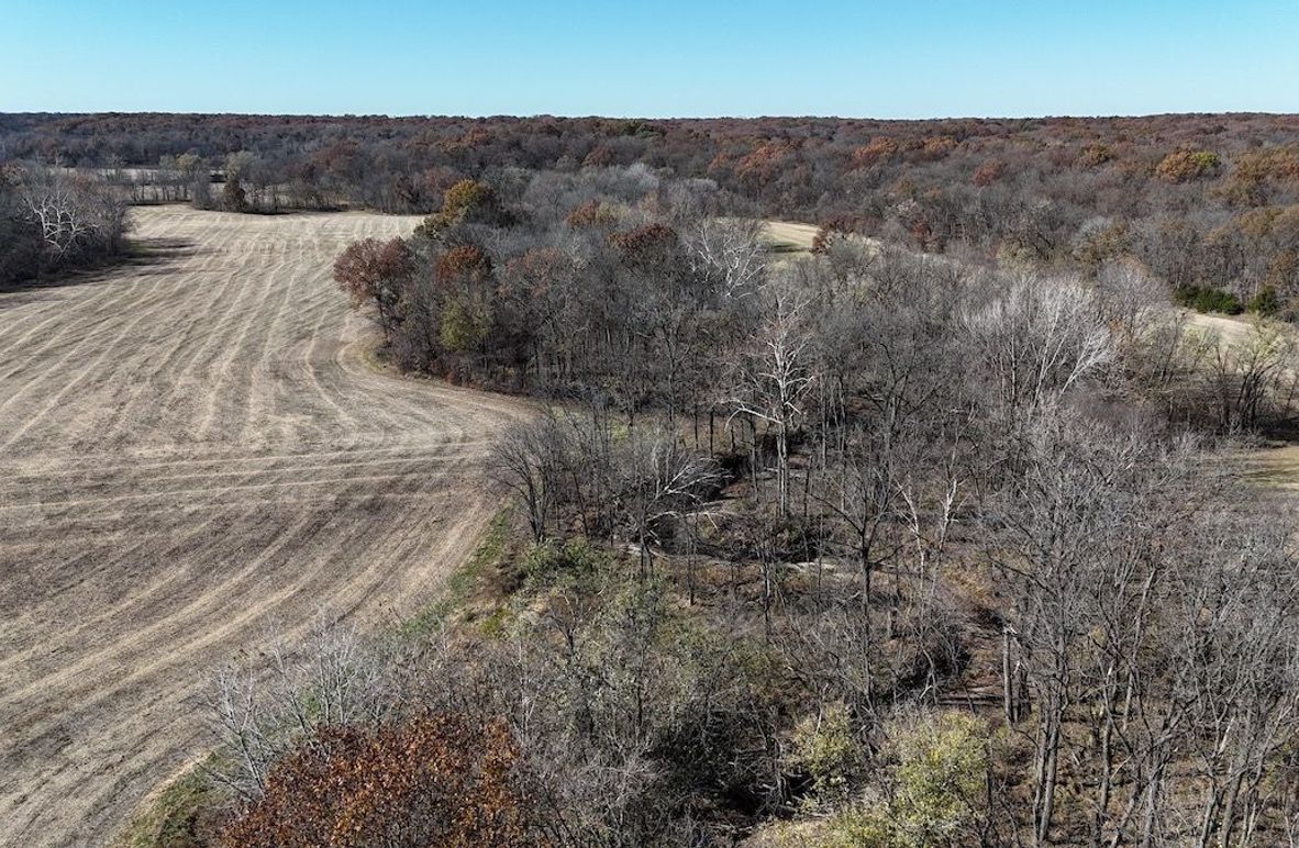 dji_fly_20241101_133956_0026_1730488618707_photo (1)