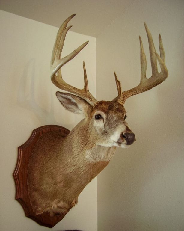 Adams 10.06 Johnson-10