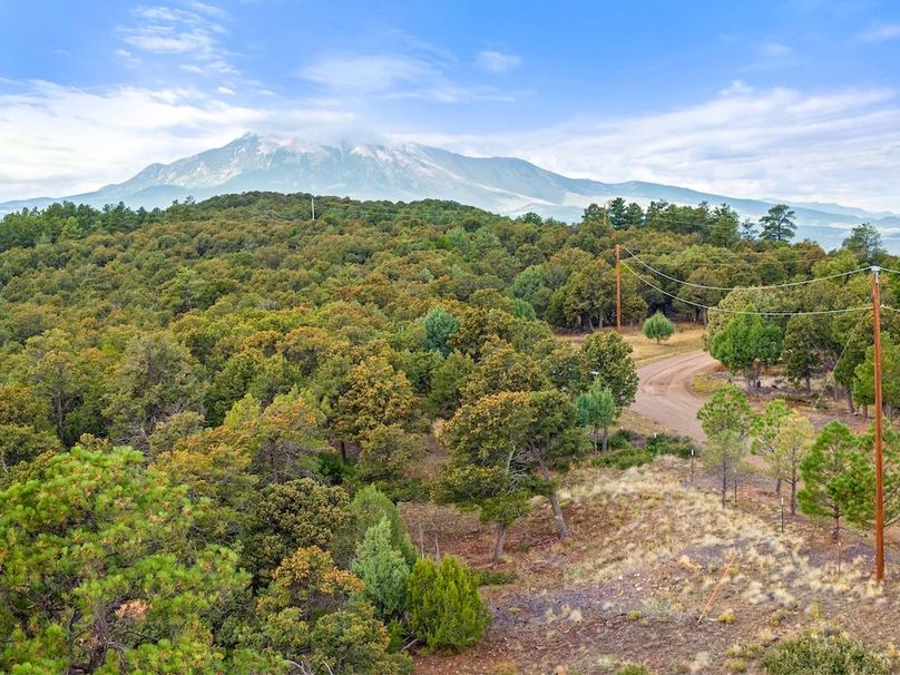 DJI_20250924104018_0094_D