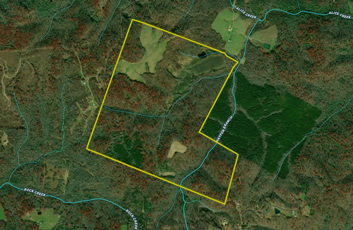 Screenshot 2025-08-04 at 11.28.17 AM