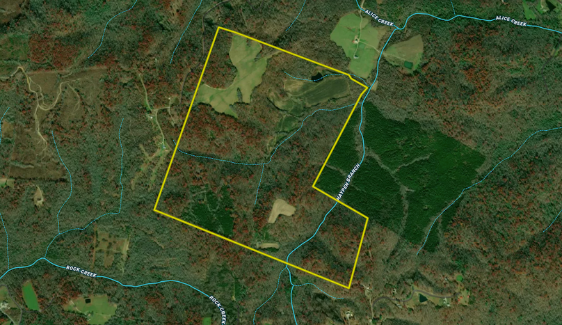 Screenshot 2025-08-04 at 11.28.17 AM