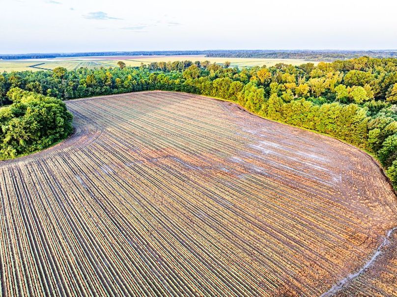 Copy of Noxubee 70 +- Tract 3-24