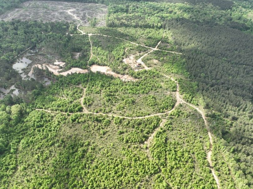 dji_fly_20260415_105116_386_1776345105539_photo