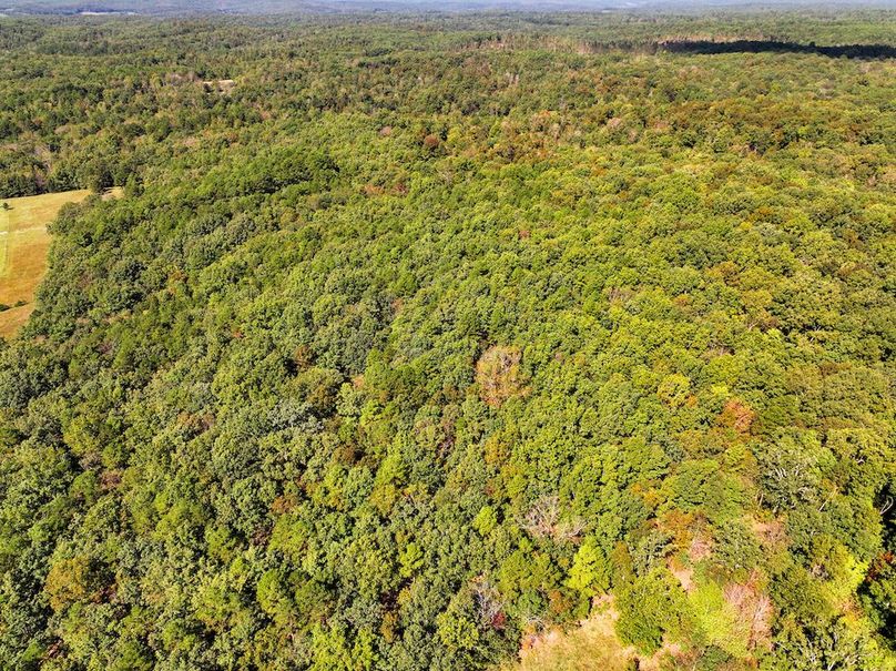 DJI_20240925112906_0219_D