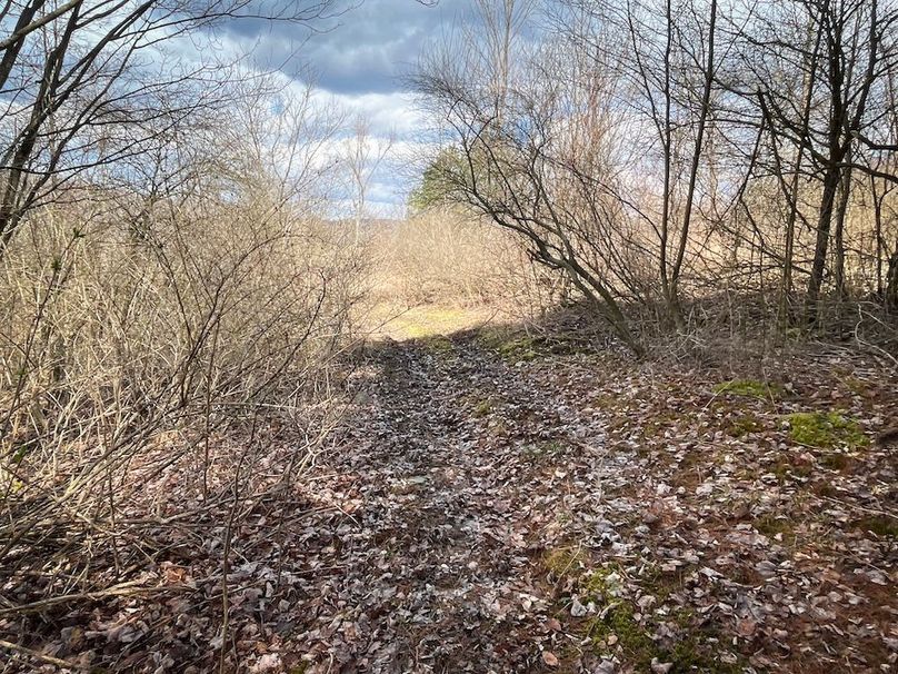 Tioga__NY_109.7_Burris_Photos_60