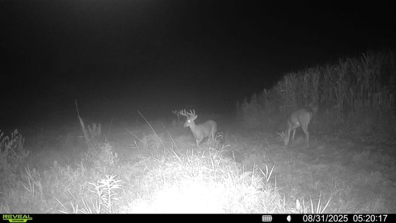 016579006920529-100-4-08312025052017-SYFW00107