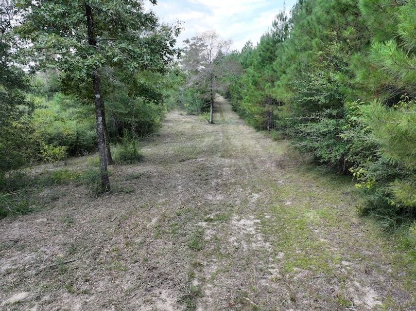 dji_fly_20250915_142252_0448_1758029019732_photo