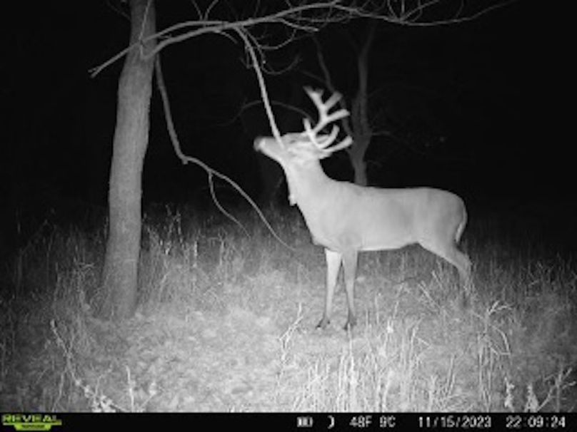 b347ef3a-fc06-4f97-b73f-0b07fa32df29