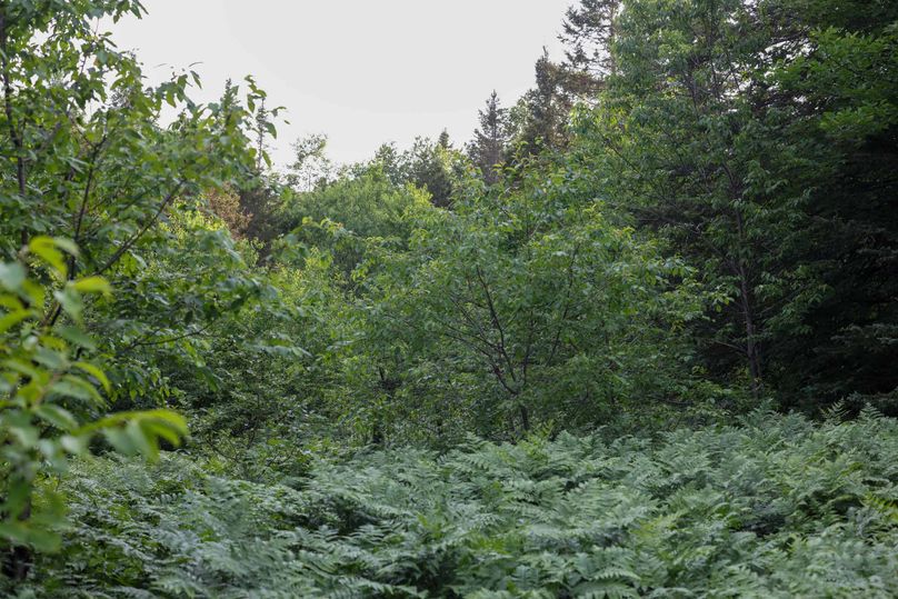 Mackinac20Fewins-6092