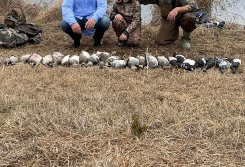 801DD4E8-2BE0-4B2A-9A12-61667C99FCDD_1_105_c