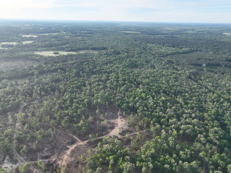 dji_fly_20260407_083136_345_1775580373245_photo